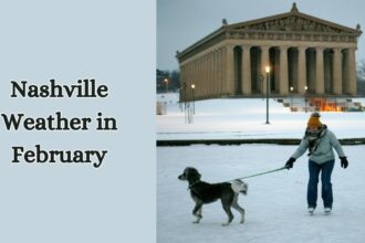 Nashville Weather In February.jpg