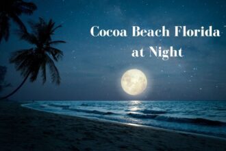 Cocoa Beach Florida At Night.jpg