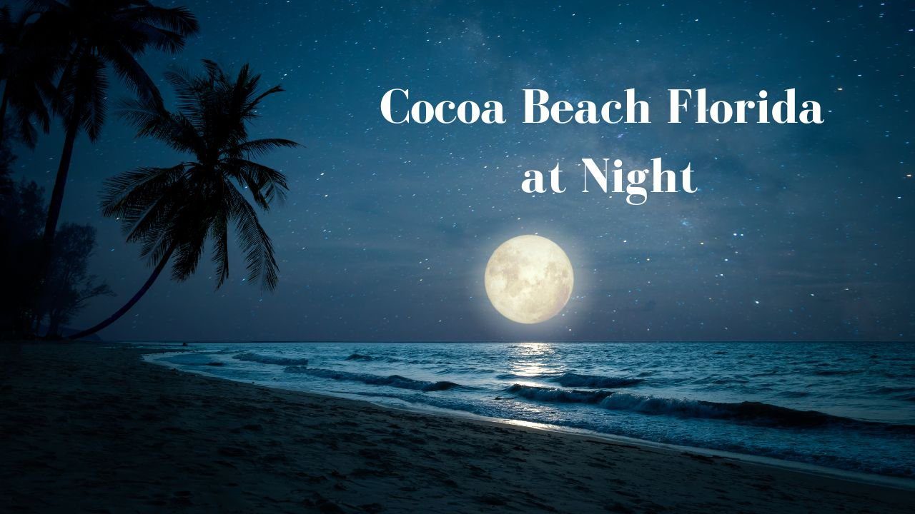 Cocoa Beach Florida At Night.jpg