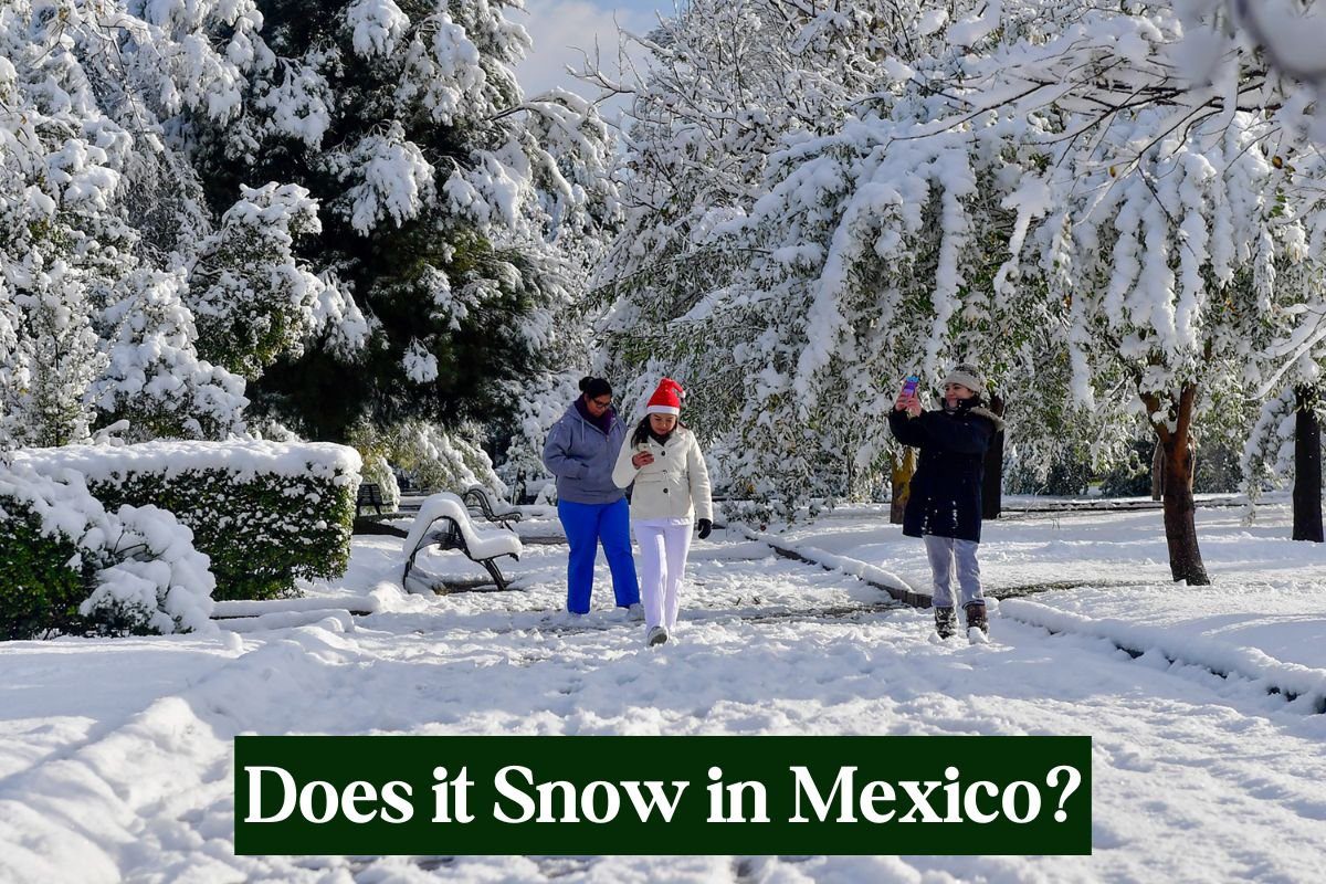 Does It Snow In Mexico.jpg